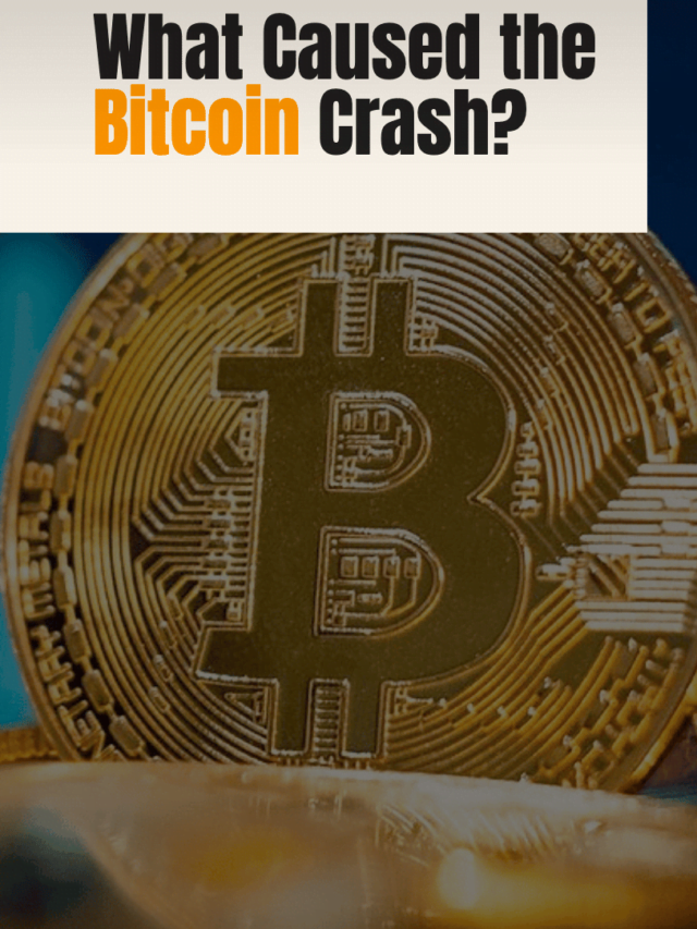 What Caused the Bitcoin Crash?
